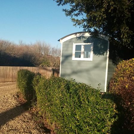 Yew Tree View Luxury Shepherd'S Hut Стърминстер Нютън Екстериор снимка
