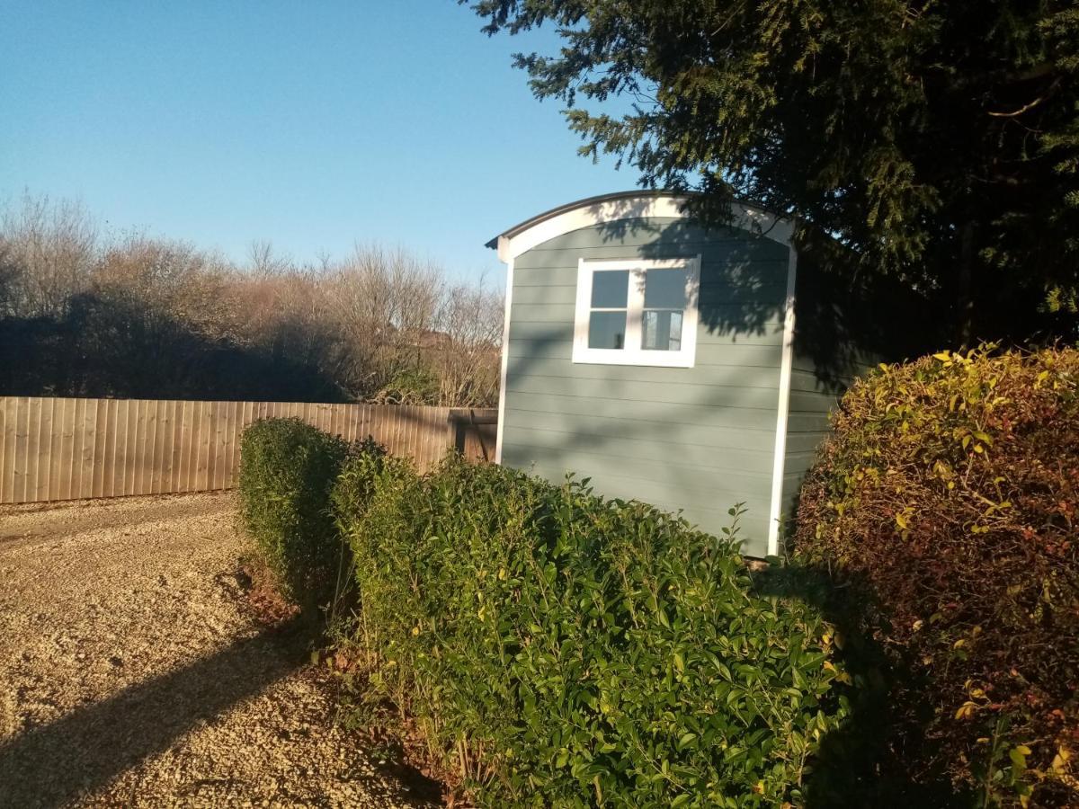 Yew Tree View Luxury Shepherd'S Hut Стърминстер Нютън Екстериор снимка